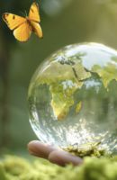 Clear bubble/glass looking globe in a hand with an orange monarch butterfly flying over it.